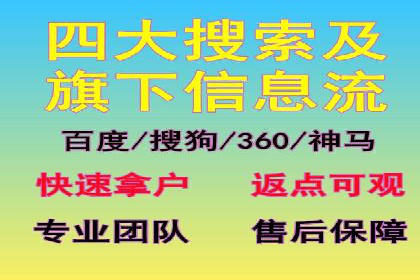 SEM代理服务：提升广告投放效果